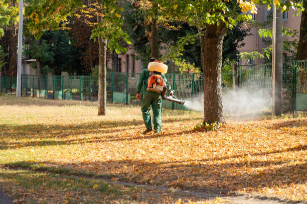 Best Local Pest Control Services  in USA